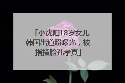 小沈阳18岁女儿韩国出道照曝光，被指撞脸孔孝真