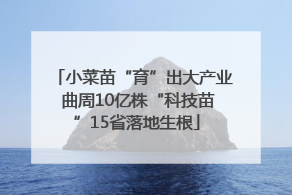 小菜苗“育”出大产业 曲周10亿株“科技苗”15省落地生根