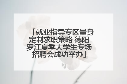 就业指导专区量身定制求职策略 德阳罗江夏季大学生专场招聘会成功举办