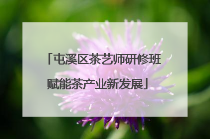 屯溪区茶艺师研修班赋能茶产业新发展