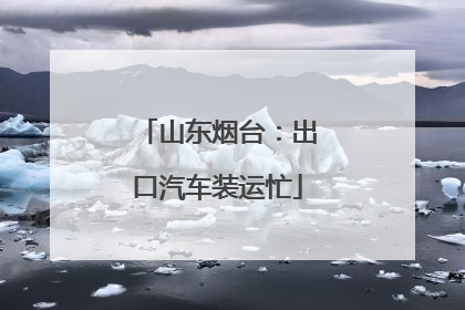 山东烟台：出口汽车装运忙