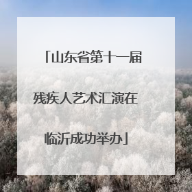 山东省第十一届残疾人艺术汇演在临沂成功举办