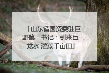 山东省国资委驻巨野第一书记：引来巨龙水 灌溉千亩田
