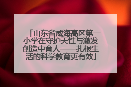 山东省威海高区第一小学在守护天性与激发创造中育人——扎根生活的科学教育更有效