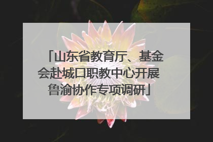 山东省教育厅、基金会赴城口职教中心开展鲁渝协作专项调研