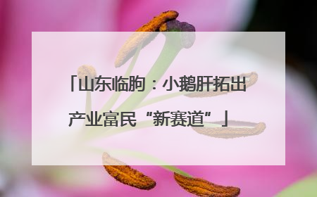 山东临朐：小鹅肝拓出产业富民“新赛道”