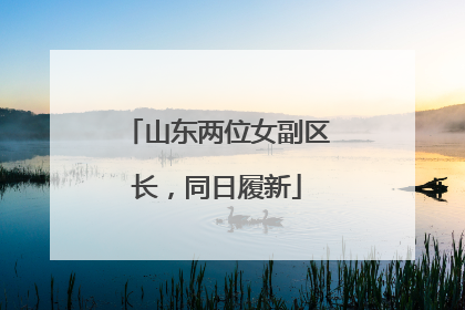 山东两位女副区长，同日履新