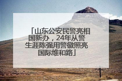 山东公安民警亮相国新办，24年从警生涯陈强用警徽照亮国际维和路