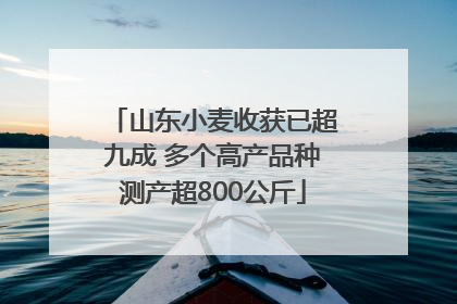 山东小麦收获已超九成 多个高产品种测产超800公斤