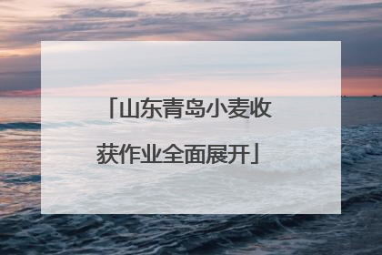 山东青岛小麦收获作业全面展开