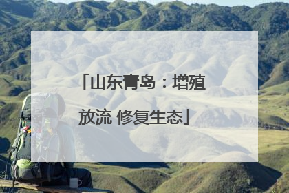 山东青岛：增殖放流 修复生态