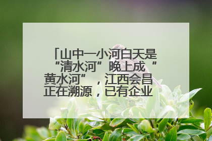 山中一小河白天是“清水河”晚上成“黄水河”，江西会昌正在溯源，已有企业被要求停工