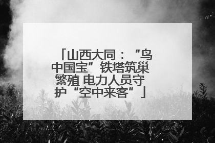 山西大同：“鸟中国宝”铁塔筑巢繁殖 电力人员守护“空中来客”