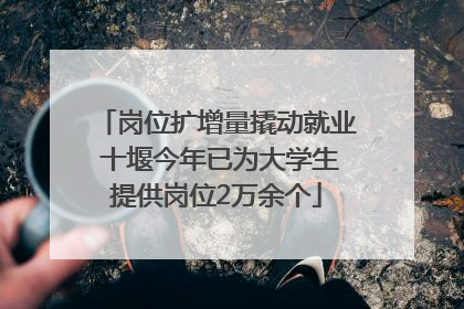 岗位扩增量撬动就业 十堰今年已为大学生提供岗位2万余个