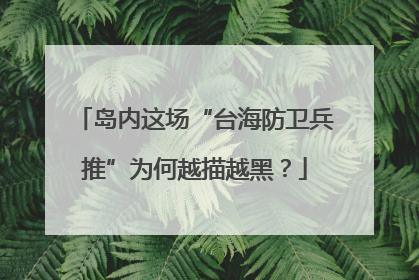 岛内这场“台海防卫兵推”为何越描越黑？