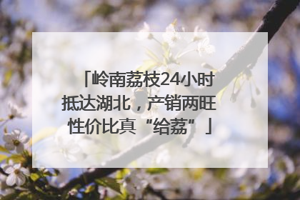 岭南荔枝24小时抵达湖北，产销两旺性价比真“给荔”