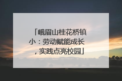 峨眉山桂花桥镇小：劳动赋能成长，实践点亮校园