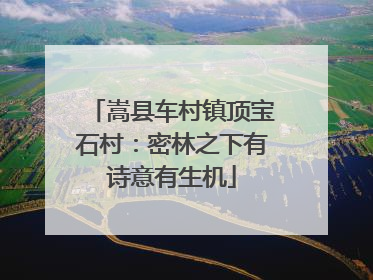 嵩县车村镇顶宝石村：密林之下有诗意有生机