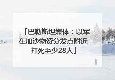巴勒斯坦媒体：以军在加沙物资分发点附近打死至少28人
