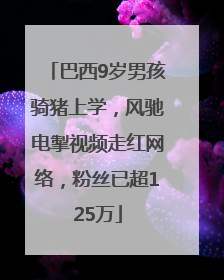 巴西9岁男孩骑猪上学，风驰电掣视频走红网络，粉丝已超125万