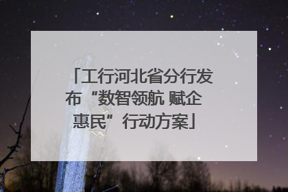 工行河北省分行发布“数智领航 赋企惠民”行动方案