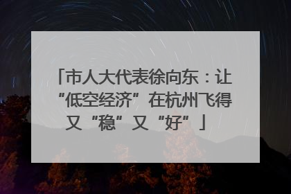 市人大代表徐向东：让“低空经济”在杭州飞得又“稳”又“好”