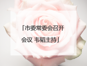 市委常委会召开会议 韦韬主持