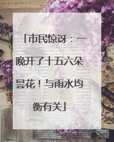 市民惊讶：一晚开了十五六朵昙花！与雨水均衡有关
