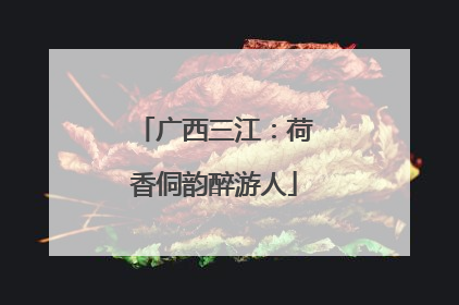 广西三江：荷香侗韵醉游人