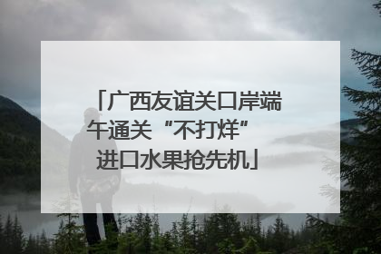 广西友谊关口岸端午通关“不打烊” 进口水果抢先机