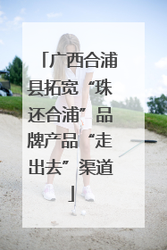 广西合浦县拓宽“珠还合浦”品牌产品“走出去”渠道