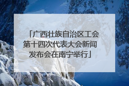 广西壮族自治区工会第十四次代表大会新闻发布会在南宁举行