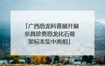 广西恐龙科普展开展 多具珍贵恐龙化石骨架标本集中亮相