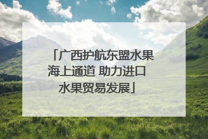 广西护航东盟水果海上通道 助力进口水果贸易发展