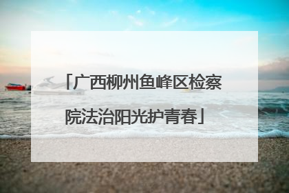 广西柳州鱼峰区检察院法治阳光护青春