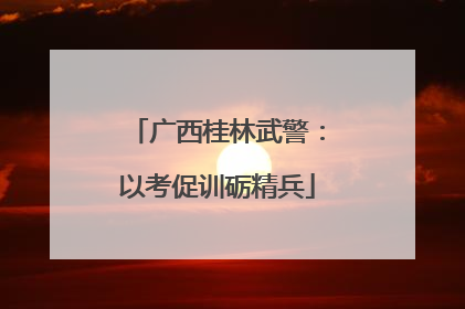 广西桂林武警：以考促训砺精兵