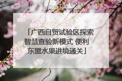 广西自贸试验区探索智慧查验新模式 便利东盟水果进境通关