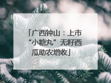 广西钟山：上市“小糖丸”无籽西瓜助农增收