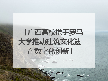 广西高校携手罗马大学推动建筑文化遗产数字化创新