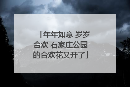 年年如意 岁岁合欢 石家庄公园的合欢花又开了