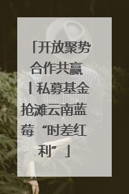 开放聚势 合作共赢丨私募基金抢滩云南蓝莓“时差红利”