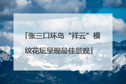 张三口环岛“祥云”模纹花坛呈现最佳景观