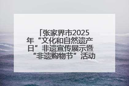 张家界市2025年“文化和自然遗产日”非遗宣传展示暨“非遗购物节”活动在慈利县盛大启幕