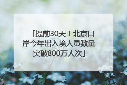 提前30天！北京口岸今年出入境人员数量突破800万人次