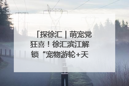 探徐汇｜萌宠党狂喜！徐汇滨江解锁“宠物游轮+天台乐园”双玩法