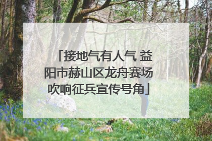 接地气有人气 益阳市赫山区龙舟赛场吹响征兵宣传号角