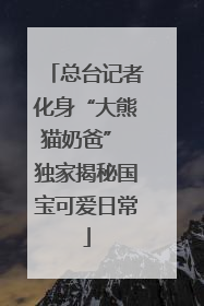 总台记者化身“大熊猫奶爸” 独家揭秘国宝可爱日常