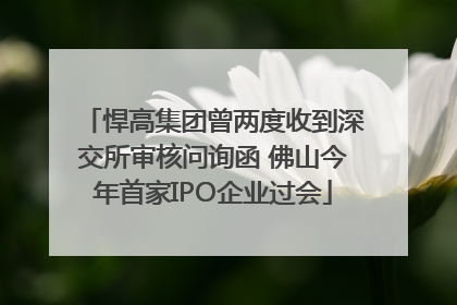 悍高集团曾两度收到深交所审核问询函 佛山今年首家IPO企业过会