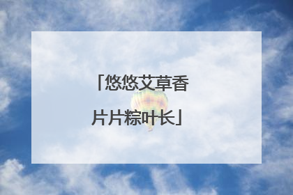 悠悠艾草香 片片粽叶长
