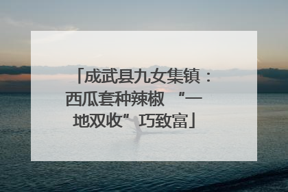 成武县九女集镇：西瓜套种辣椒 “一地双收”巧致富
